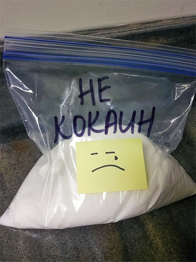 Крутые коллеги с которыми ноль шансов на скуку