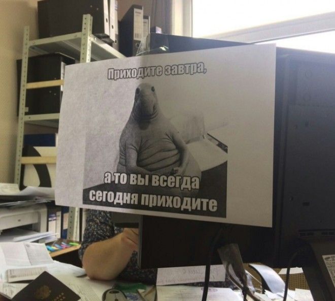 Крутые коллеги с которыми ноль шансов на скуку