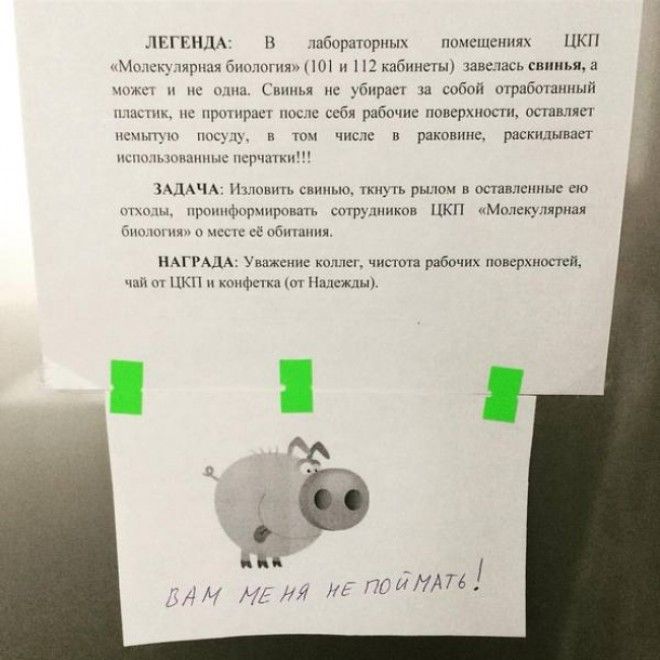 Крутые коллеги с которыми ноль шансов на скуку