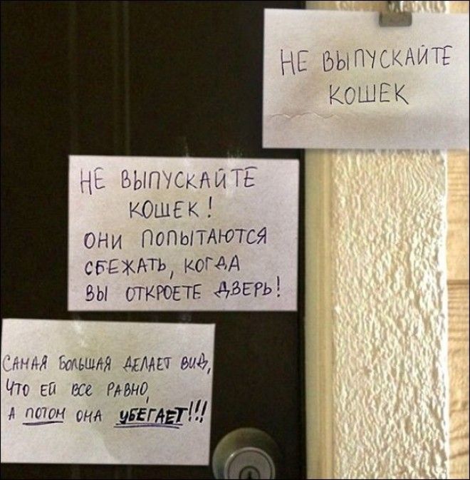 29 уморительных объявлений