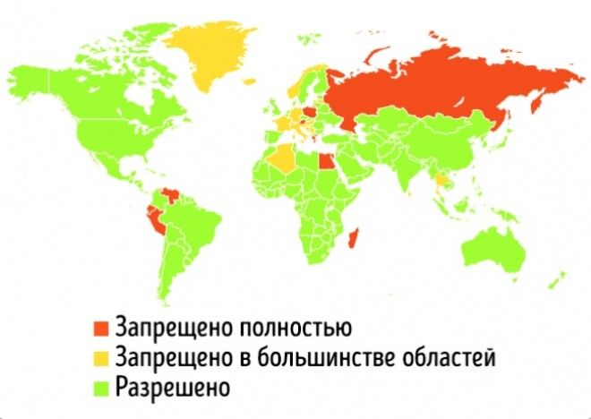 12 фактов о еде которые стоит знать каждому