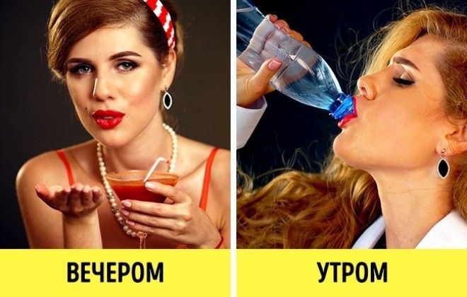 10 мифов об алкоголе в которые мы верили всю жизнь