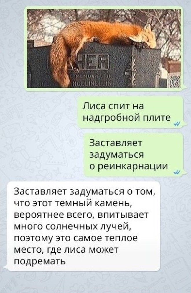 16 СМС, которые доказывают, что женская логика — сложная наука 16 СМС которые доказывают что женская логика сложная наука