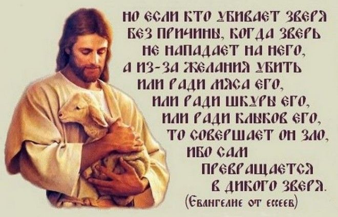 Евангелие Мира от ессеев./ Фото: change.org Евангелие Мира от ессеев./ Фото: change.org