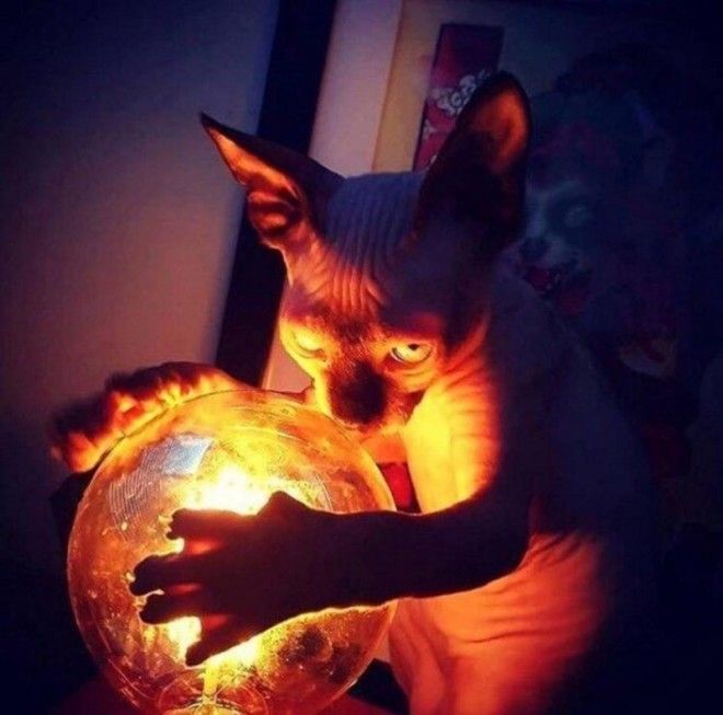 ÐаÑÑинки по запÑоÑÑ