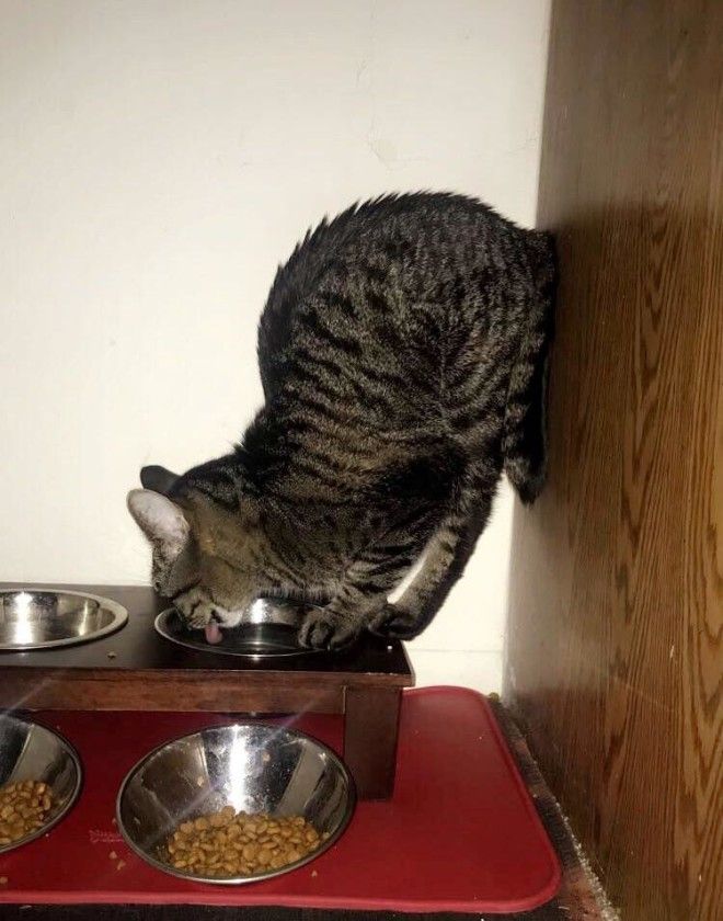 ÐаÑÑинки по запÑоÑÑ ÐоÑка
