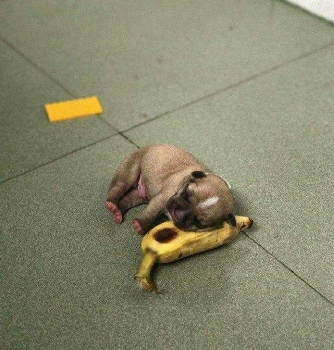 ÐаÑÑинки по запÑоÑÑ having a bad day