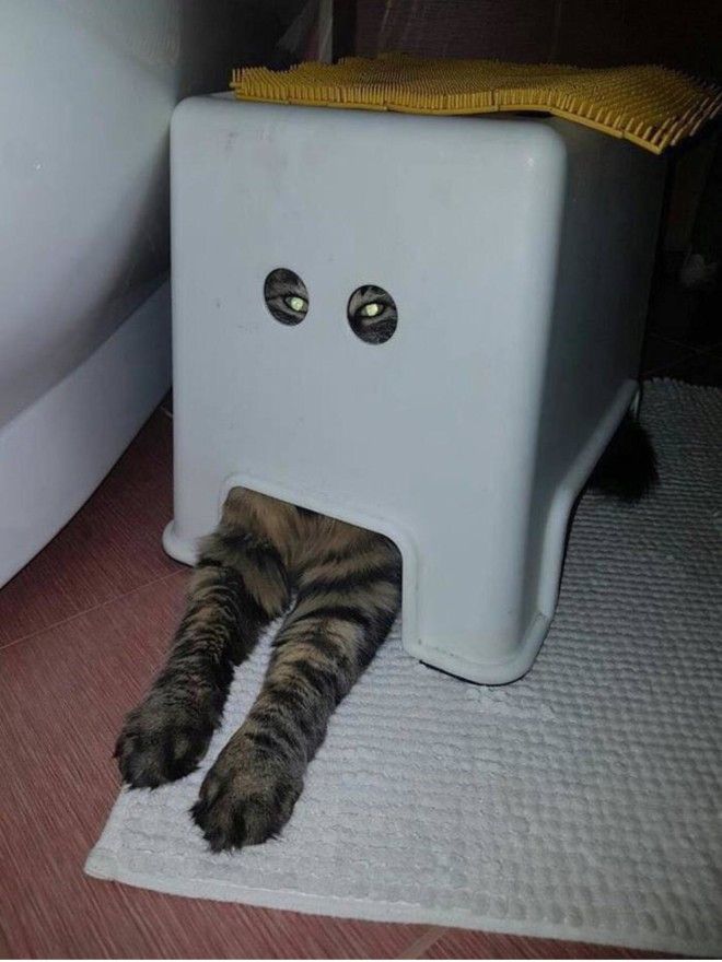 ÐаÑÑинки по запÑоÑÑ ÐоÑка