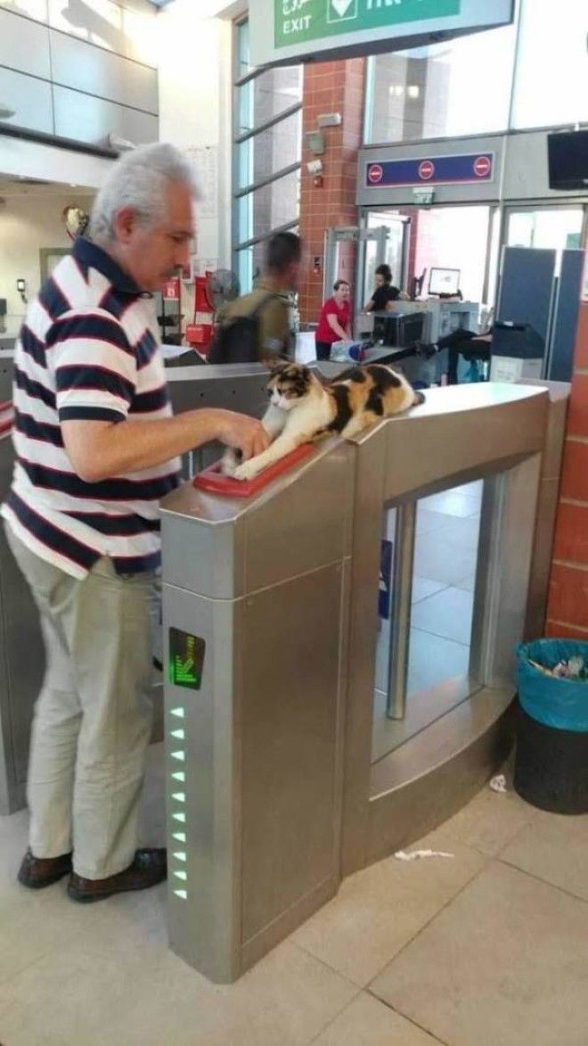 ÐаÑÑинки по запÑоÑÑ Ð®Ð¼Ð¾Ñ