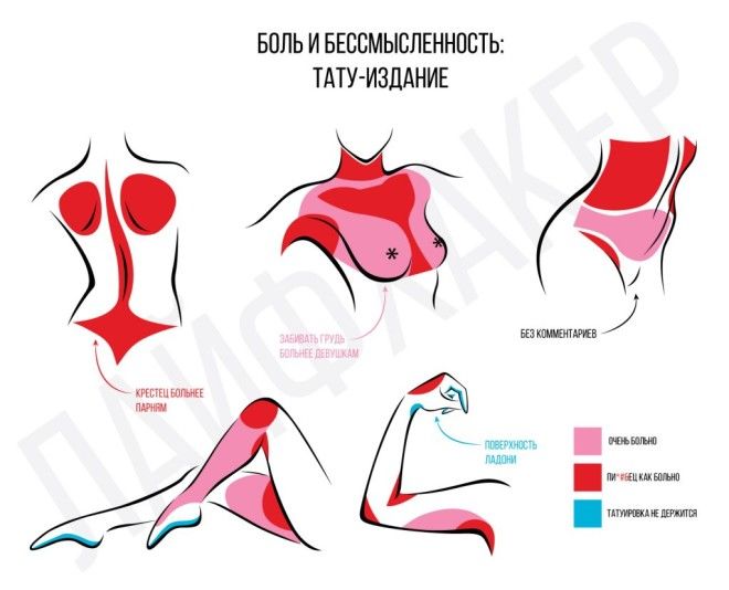 больно делать тату: Самые чувствительные места