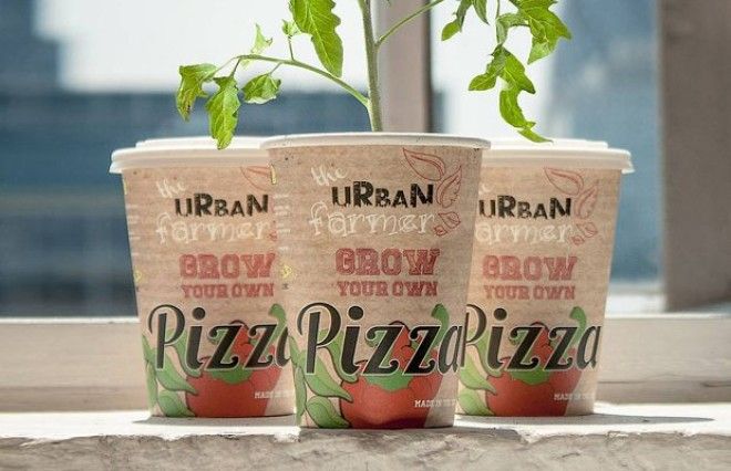 8 технологичных способов выращивать еду дома. Изображение № 2.