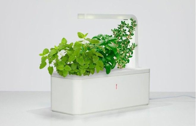 8 технологичных способов выращивать еду дома. Изображение № 5.