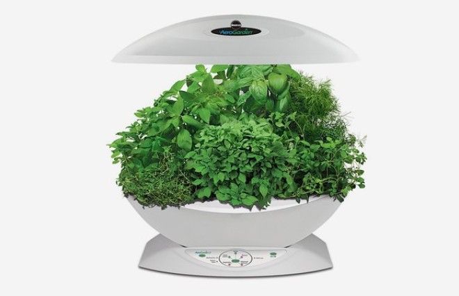 8 технологичных способов выращивать еду дома. Изображение № 6.