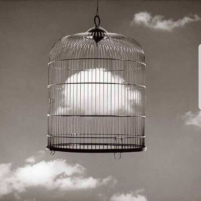 30 сюрреалистичных фото после которых вы перестанете верить своим глазам