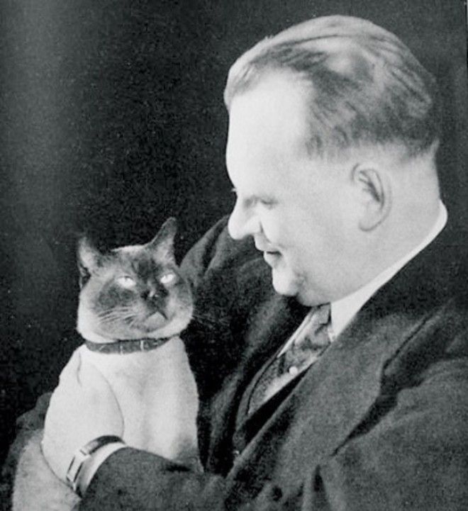 ÐÐ°ÑÑÐ¸Ð½ÐºÐ¸ Ð¿Ð¾ Ð·Ð°Ð¿ÑÐ¾ÑÑ