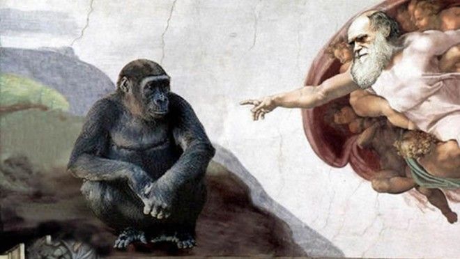  imagenes del renacimiento europeo