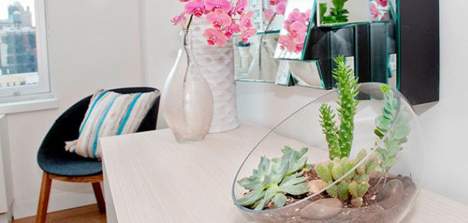 Место для кактуса