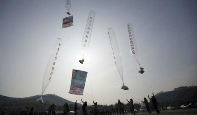 Ð®Ð¶Ð½ÑÐµ ÐºÐ¾ÑÐµÐ¹ÑÑ ÑÐ»ÑÑ ÐºÐ¾Ð¿Ð¸Ð¸ ÑÐ¸Ð»ÑÐ¼Ð° ÑÐ²Ð¾Ð¸Ð¼ ÑÐµÐ²ÐµÑÐ½ÑÐ¼ ÑÐ¾ÑÐµÐ´ÑÐ¼