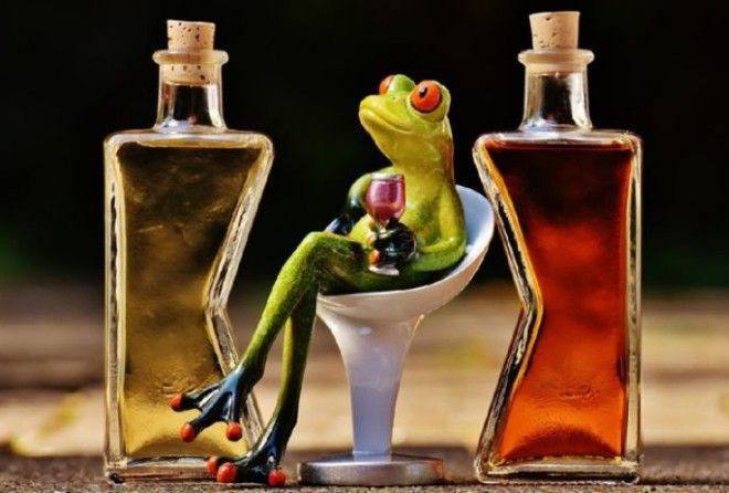 Почему в будущем ни у кого не будет похмелья