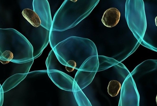 Эксперимент начался 1 августа.